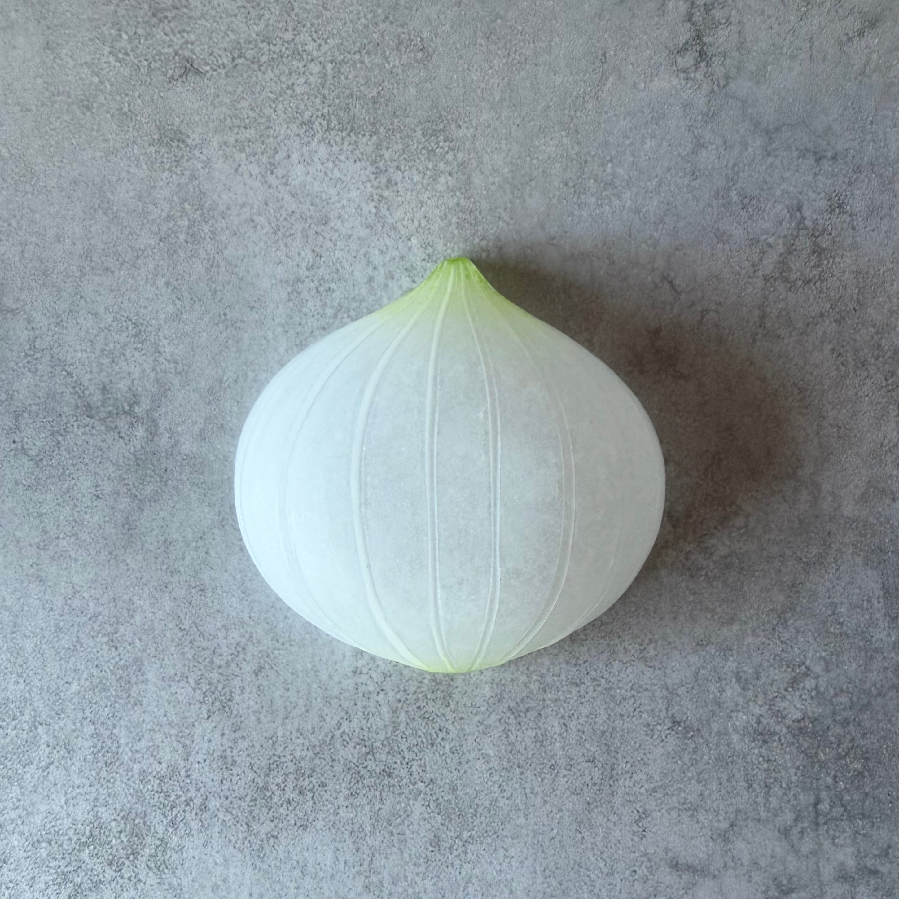 玉ねぎ